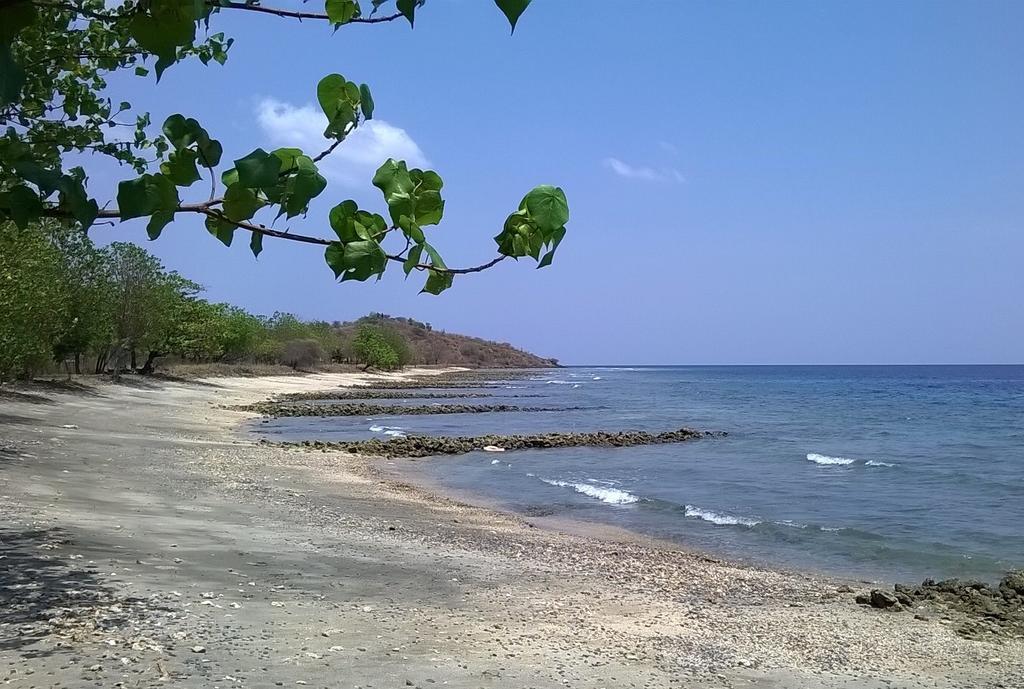 Taman Dewi Sri Villa Et Bungalow Pemuteran Εξωτερικό φωτογραφία