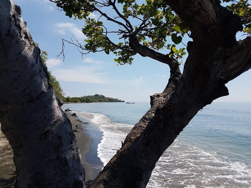 Taman Dewi Sri Villa Et Bungalow Pemuteran Εξωτερικό φωτογραφία